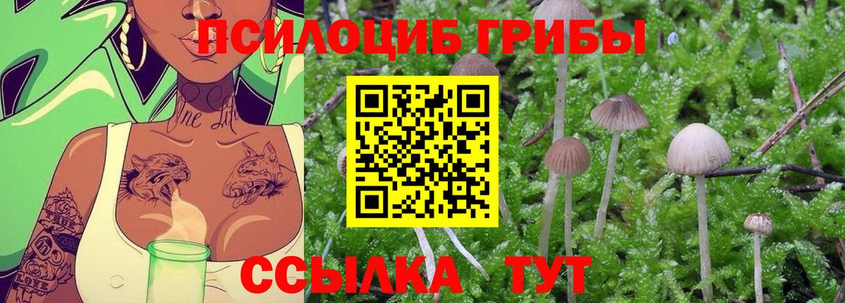 Галлюциногенные грибы GOLDEN TEACHER  Вход с VPN  Златоуст  Галлюциногенные грибы Cubensis 